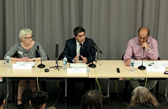 Güney Yıldız — soas panel