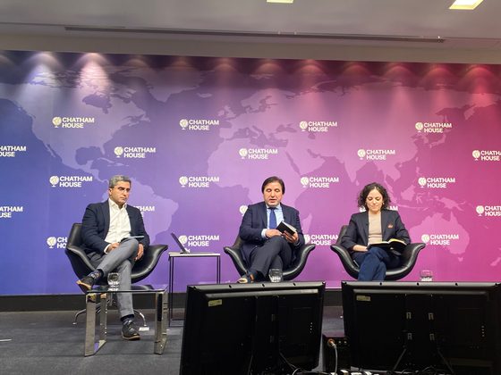 Güney Yıldız — chatham house panel